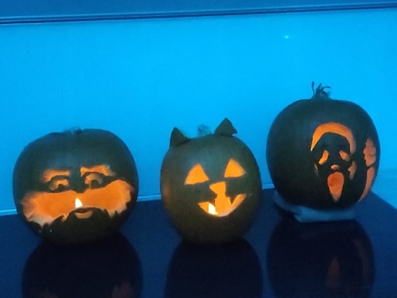 Show my your pumpkins