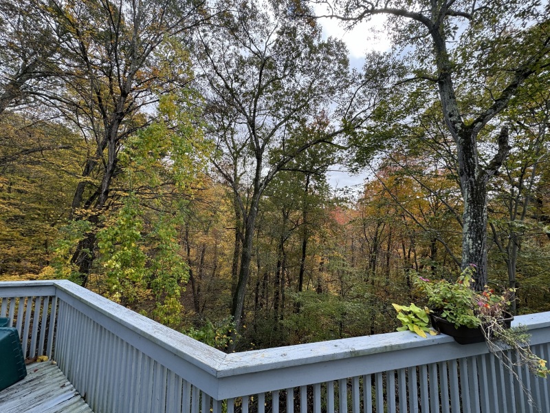 Come and tell me your dull and unexciting news 27: Calmly through the day