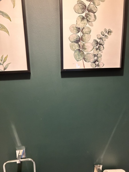 DP has messed up the painting and thinks I'm over reacting for being annoyed