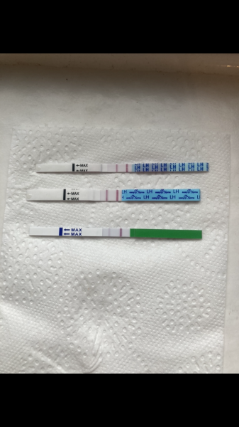 Is this ovulation test positive?