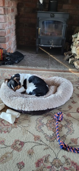 Fireplaces and logburners - have you got yours lighted yet?