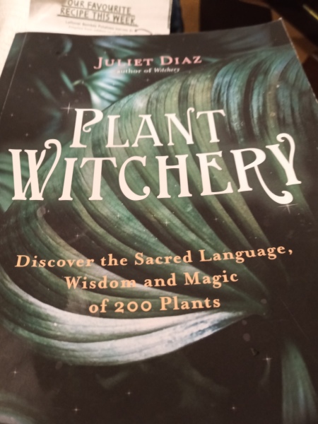 Any Witches Here?- Part 19