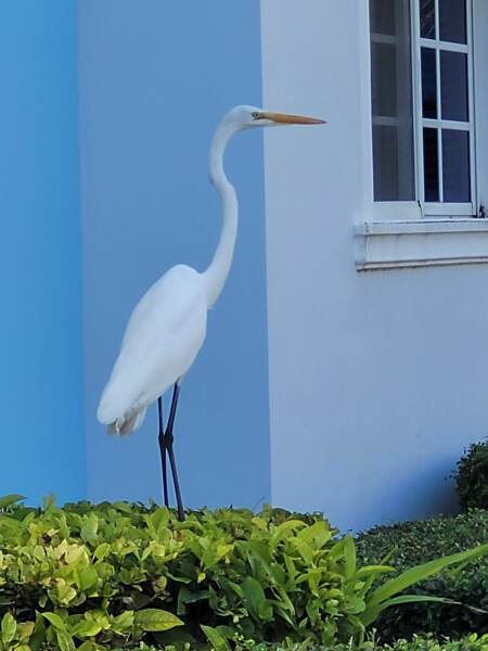 what do you enjoy looking at out of your windows?