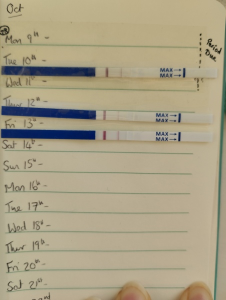 TTC May 2023 💖 Previous MC March 2023 (thread 2)