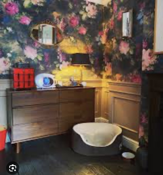 Gok Wan bedroom wallpaper