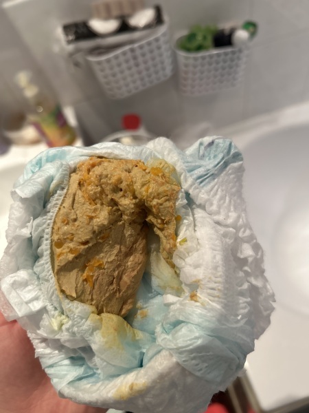 Help! So worried about toddler poo! 
