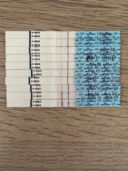 We’re ‘old schooling’ it up! Ovulation test sticks…