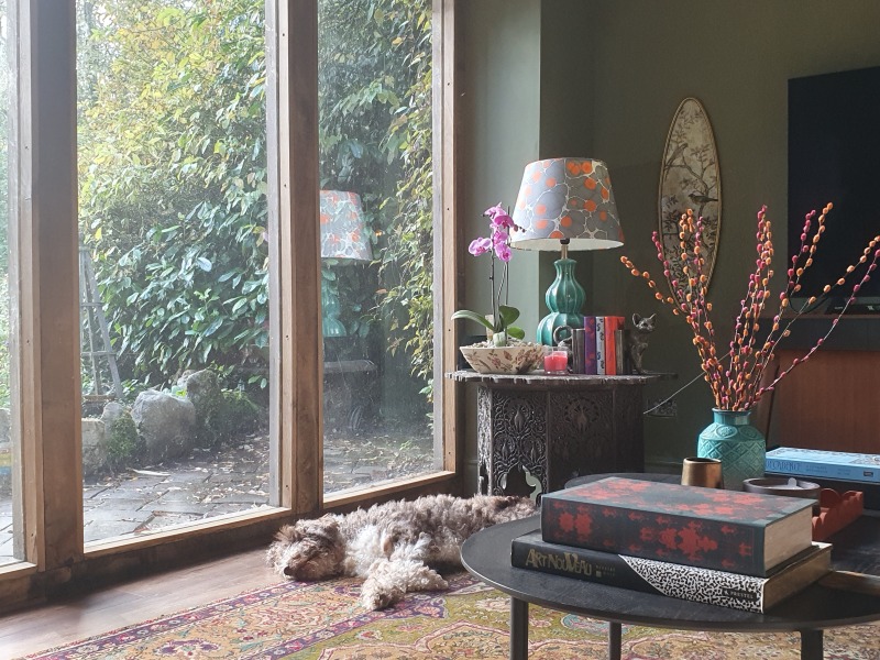 What can I do with grey sofa and carpet to make the room look warmer/cosier?