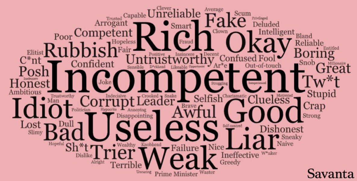To intensely dislike Rishi Sunak?