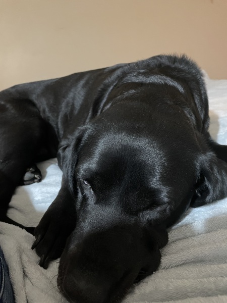 botwatch-79-the-latest-thread-in-a-very-long-series-about-the-deceptions-practised-by-mlms-unbelievably-people-are-still-being-hooked-in-by-these-schemes-where-97-of-those-who-join-lose-money