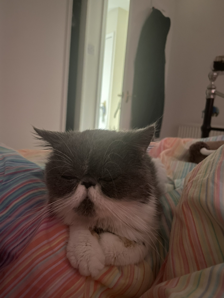 Potential new inmate at Toddler Towers.