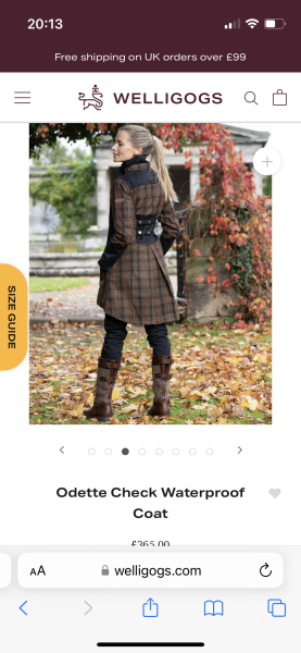 What style of coat to wear with dresses? Help!