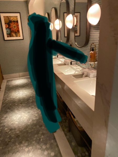 Bathroom Inspiration Please