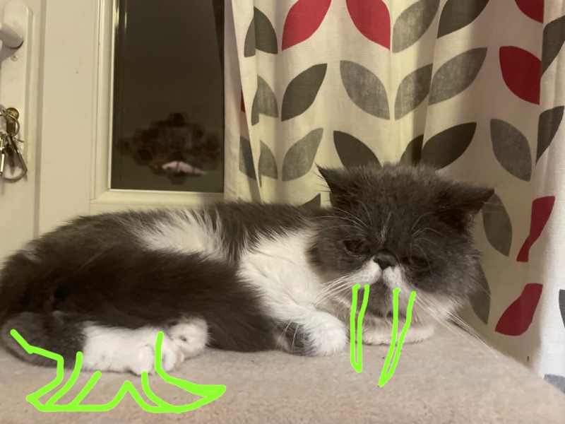 Potential new inmate at Toddler Towers.