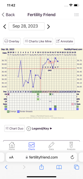 Bbt drop at 4/5 dpo!