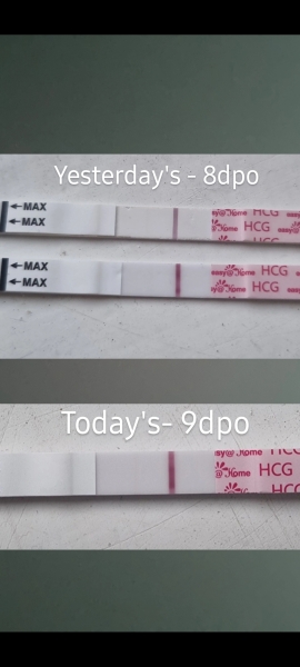TTC baby no2. Dpo 4. Anyone else?