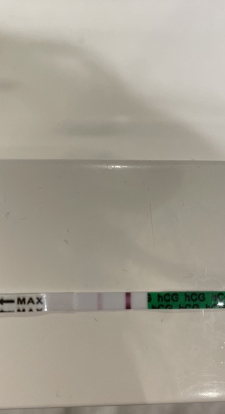 12 DPO... bfp