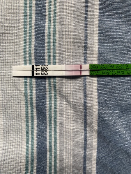 Preg test faint line.... preg or not preg?