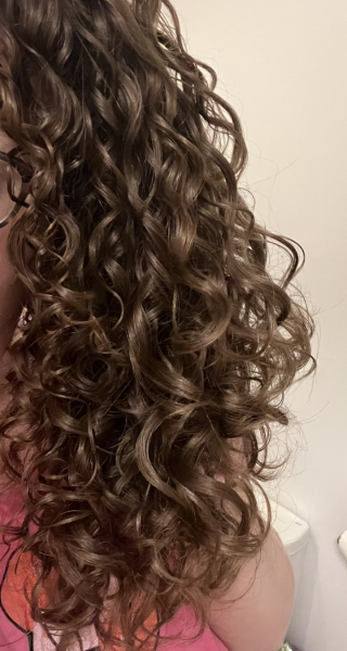 Curly dry older hair?  I want to reduce the frizz and have gorgeous soft hair... What would you do?