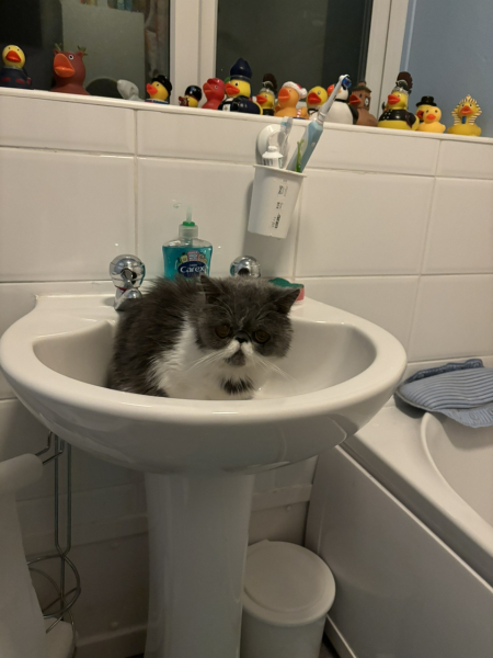 Potential new inmate at Toddler Towers.