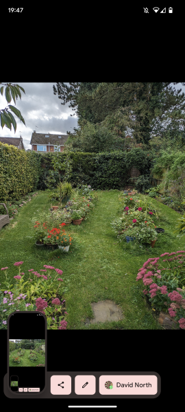 Meadow ideas / inspiration