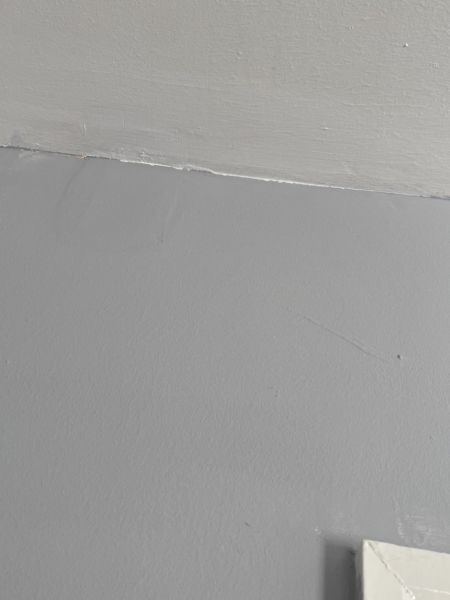 Not getting house from council -would you be sad about it?