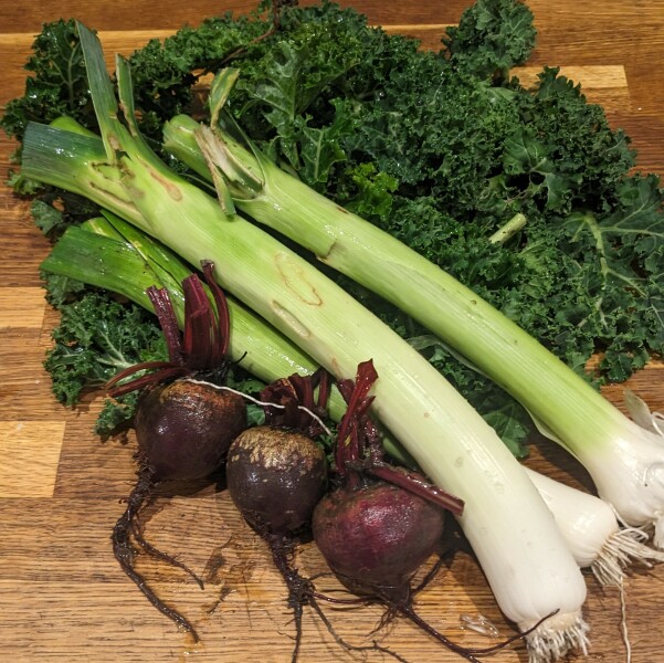 The Vegetable Patch Mark 2