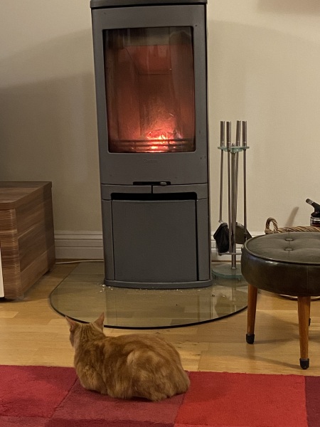 Can we please see pictures of your fireplaces and log burners ?