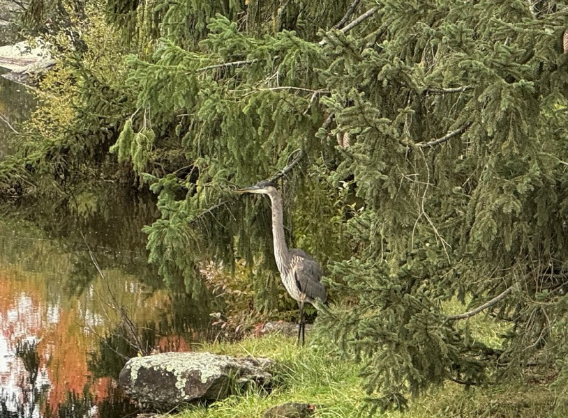 Come and tell me your dull and unexciting news 27: Calmly through the day