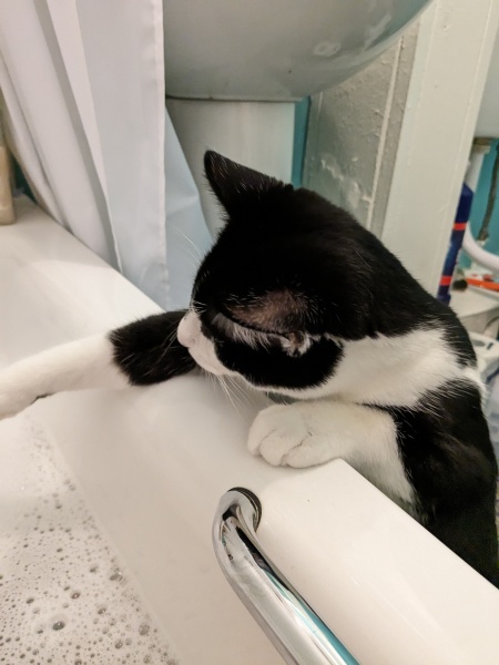 Come and tell me your dull and unexciting news 27: Calmly through the day