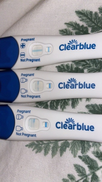 Clear blue test. Evap line or positive