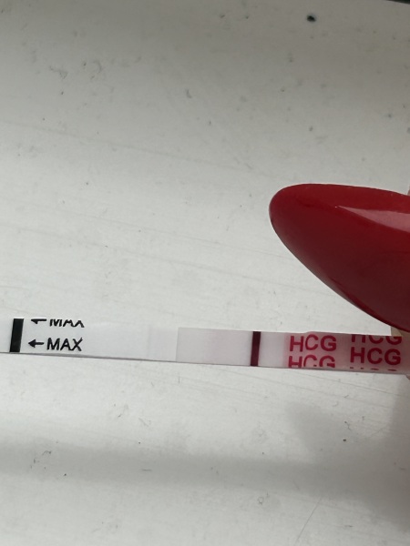 Wondfo- do they give false BFPs or smudges?