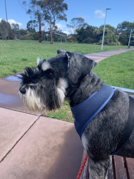 The Great Recovery! After cancer what next?