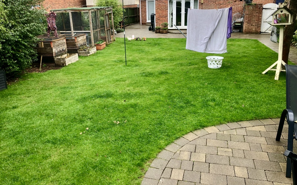 Small issue with my neighbour…
