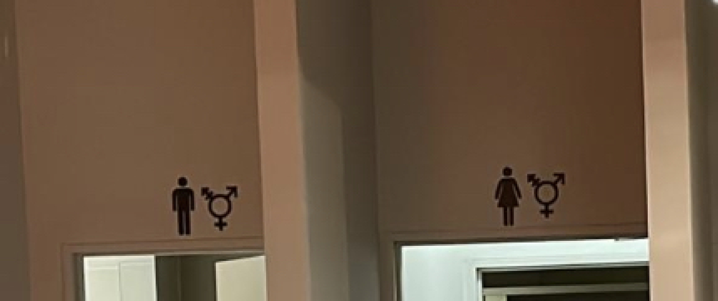 Public loos - yes this