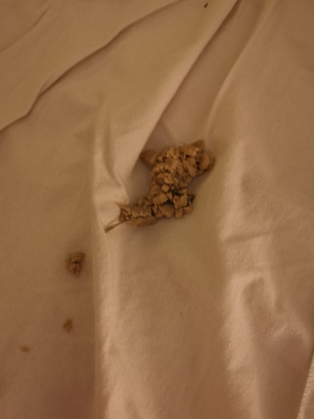 Is this a hairball?