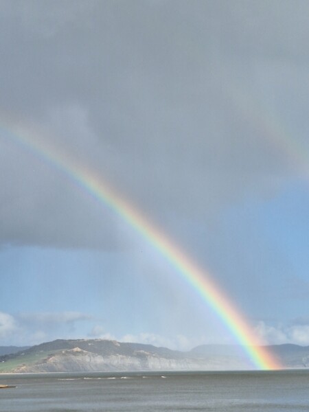 Come and tell me your dull and unexciting news 27: Calmly through the day