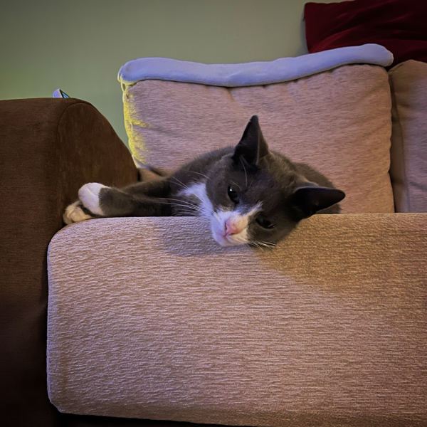 How to tell it’s getting cold…