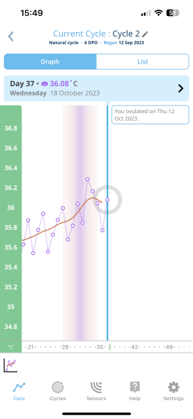 Bbt drop at 4/5 dpo!