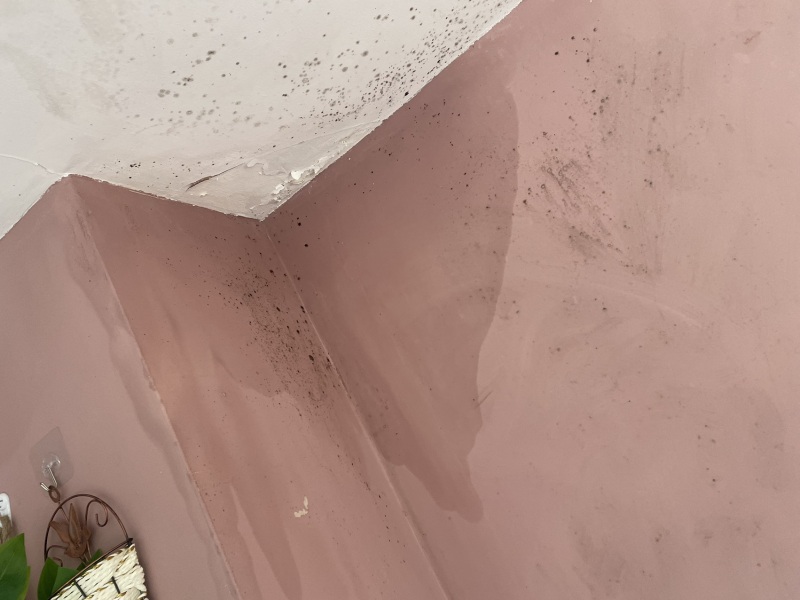Help a novice decorate a damp, crumbling room!