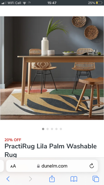 Boring but which rug?