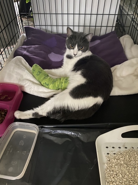 Three Legs