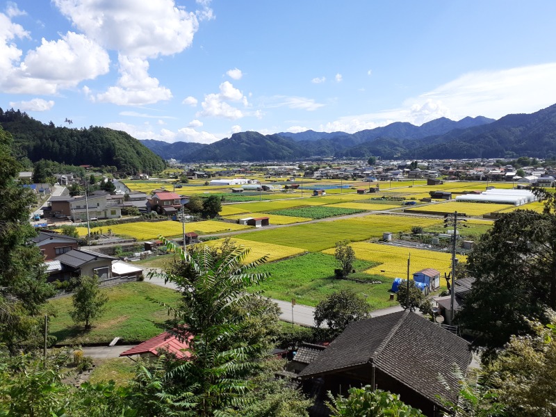 Japan - November 2023, Hints & Tips Please