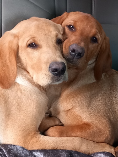 So damn cute...