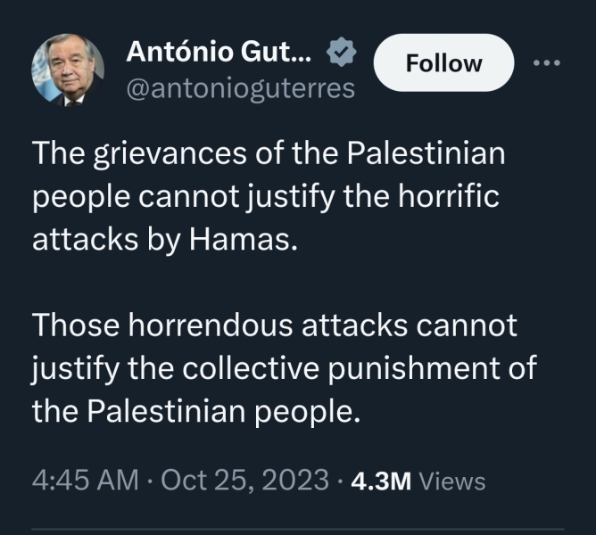 I blame the United Nations