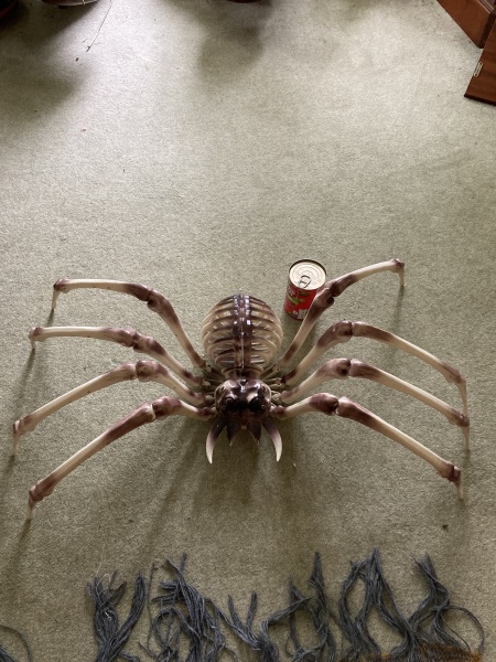 To think decorating your home for different seasons is silly