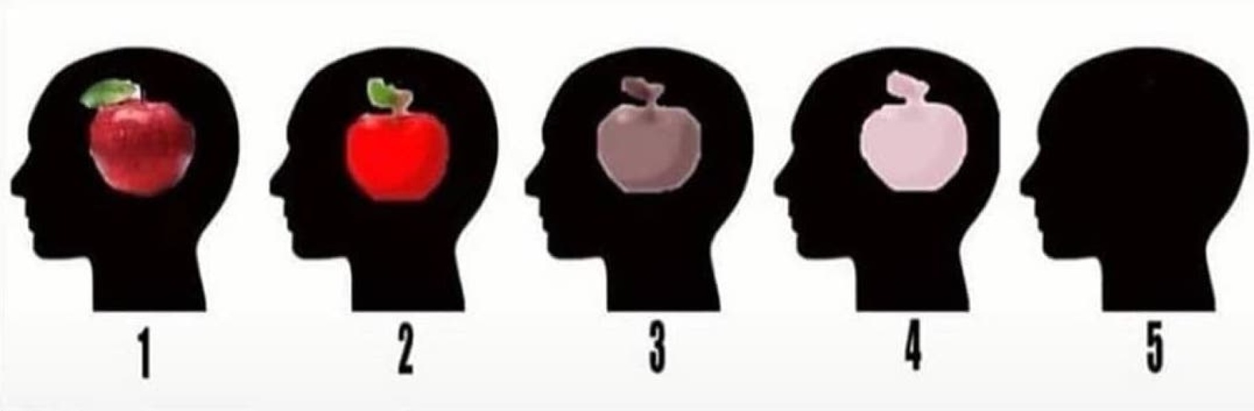 Can you see actual images in your head?