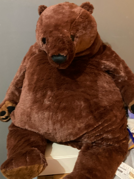 AIBU to bring 'Fat Bear Week' to your attention?