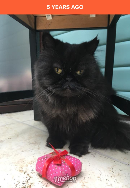 Potential new inmate at Toddler Towers.