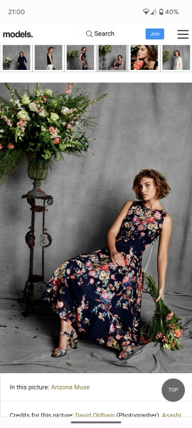 Anna Wintour shops at Hobbs